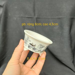 Chậu tuyết sơn, tròn size nhỏ T002