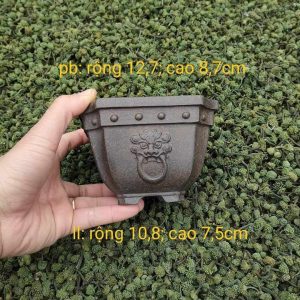Chậu tử sa vuông, vát góc, mặt bợm V023