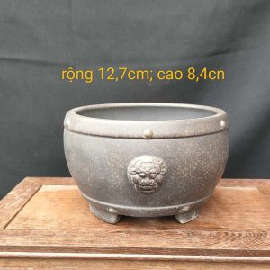 Chậu tròn chấm bi, mặt bợm T016