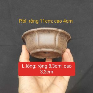 Chậu tử sa tròn; mô phỏng cánh hoa T029
