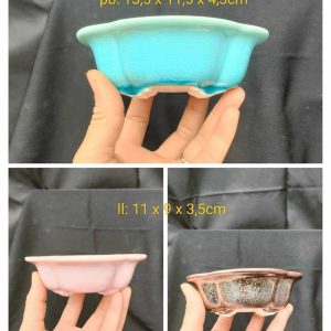 Châu bầu dục cánh hoa; size nhỏ BD014