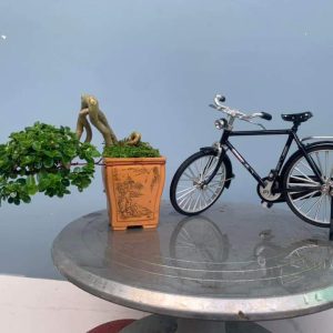 Chậu tử sa vuông, cao thủ công; size nhỏ V007