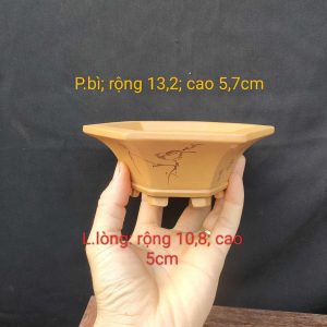 Bộ chậu lục giác điêu khắc thủ công; miệng loe LG005
