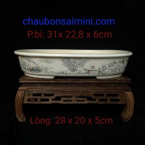 Chậu Oval tuyết sơn, mẫu chậu cạn size tầm trung OV007