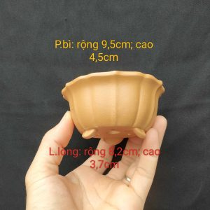 Chậu tròn cánh sen; size nhỏ T020