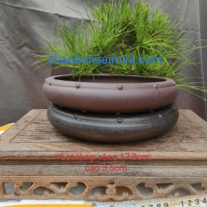 Chậu tròn cạn, chấm bi T018