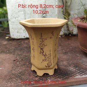 Chậu Lục giác điêu khắc thủ công; sắc bùn vàng; size nhỏ LG001