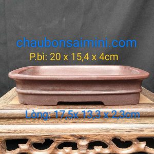 Chậu chữ nhật cạn,miệng loe CN032