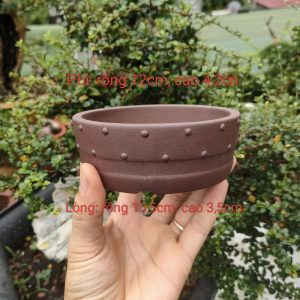 Chậu tròn chấm bi cánh dán; size nhỏ T047