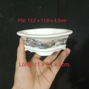 Chậu bầu dục cánh hoa  tuyết sơn, zise nhỏ BD015