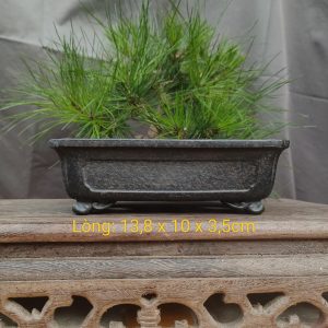 Chậu chữ nhật tử sa đen "hắc sa"; chân quỳ CN028