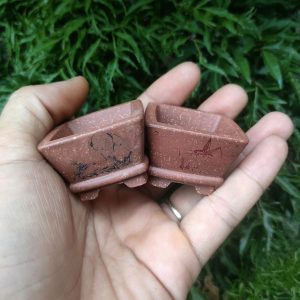 Chậu vuông, miệng loe điêu khắc thủ công' size rất nhỏ V029