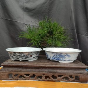 Bộ chậu tròn, cạn; chậu phong cách đẹp, phù hợp với nhiều cách bài trí (T065)