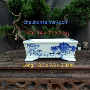 Chậu chữ nhật men lam; họa tiết cá rình mồi (CN051)