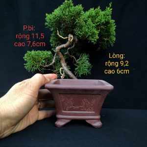 Chậu cát tím điêu khắc thủ công mộc mạc, cổ kính (V066)