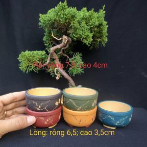 Bộ chậu tử sa mini điêu khắc thủ công (T076)