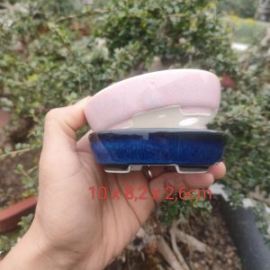 Chậu oval cạn phủ men; size nhỏ (OV025)