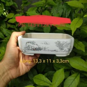 Chậu chữ nhật cạn, tuyết sơn; cốt gốm phủ men (CN086)