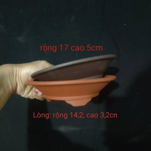 Bộ chậu ròn cạn, miệng loe (T079)