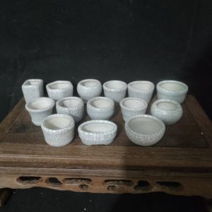 Bộ chậu siêu mini men rạn; mẫu mã đa dạng B014