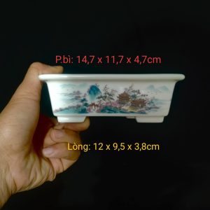 Bộ chậu chữ nhật họa tiết 2 mặt; chế tác bán thủ công (CN099)