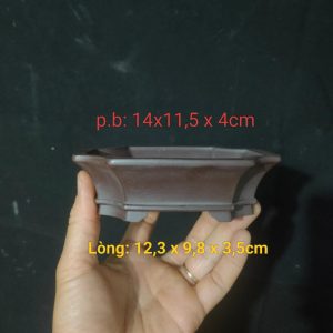 Bộ chậu chữ nhật vát góc (CN097)