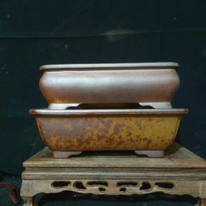 Bộ chậu màu gỉ sét cổ kính; size tầm trung, mẫu mã đa dạng (B017)