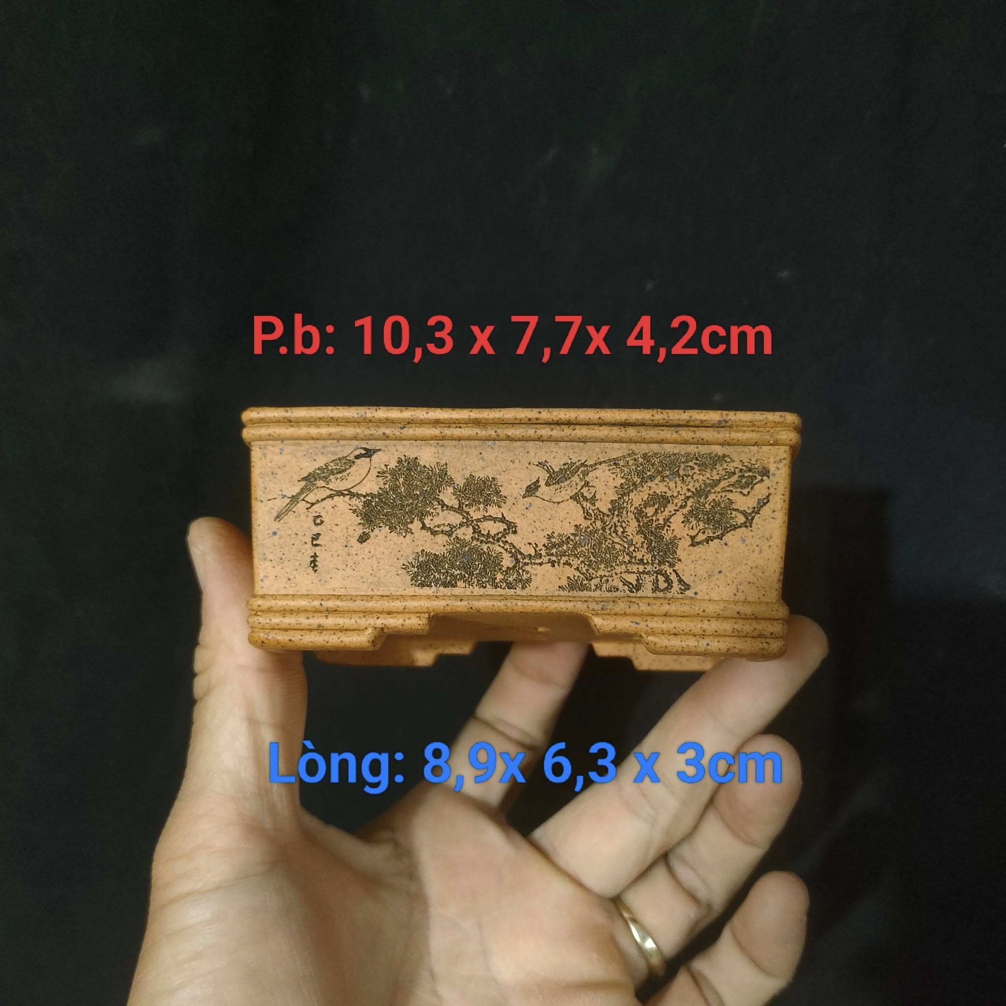 Mẫu chậu chữ nhật size nhỏ; chậu điêu khắc chìm họa tiết sinh động, sắc nét (CN102)