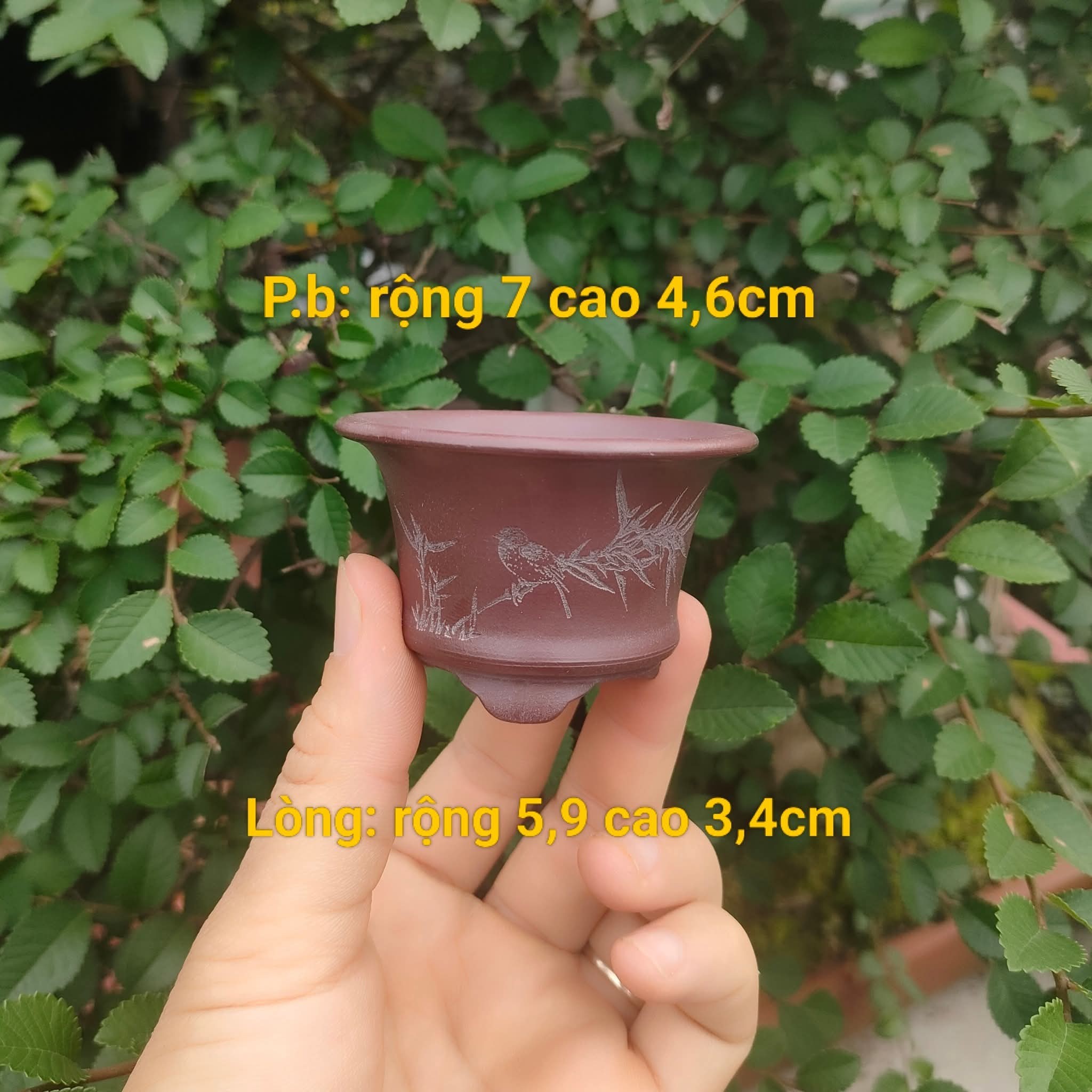 Bộ chậu cát tím tròn, điêu khắc chìm họa tiết đa dạng (T102)